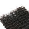 毛のよこ糸の実質のバージンのペルーの毛の深い波100%の人間の毛髪延長 サプライヤー