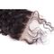 ペルーのねじれた巻き毛の人間の毛髪のレースの前部かつらは非実物大を処理しました サプライヤー