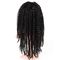 黒人女性のための完全なレースの巻き毛の人間の毛髪のかつらの普通サイズ、130%密度 サプライヤー